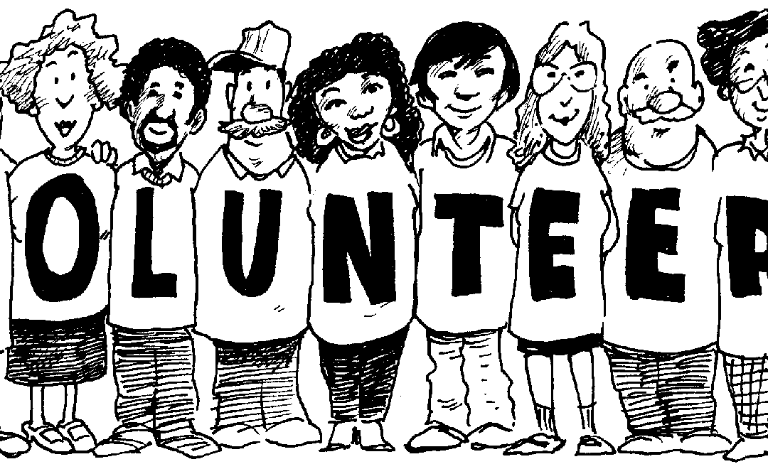 Volunteers Required For Novice Tour